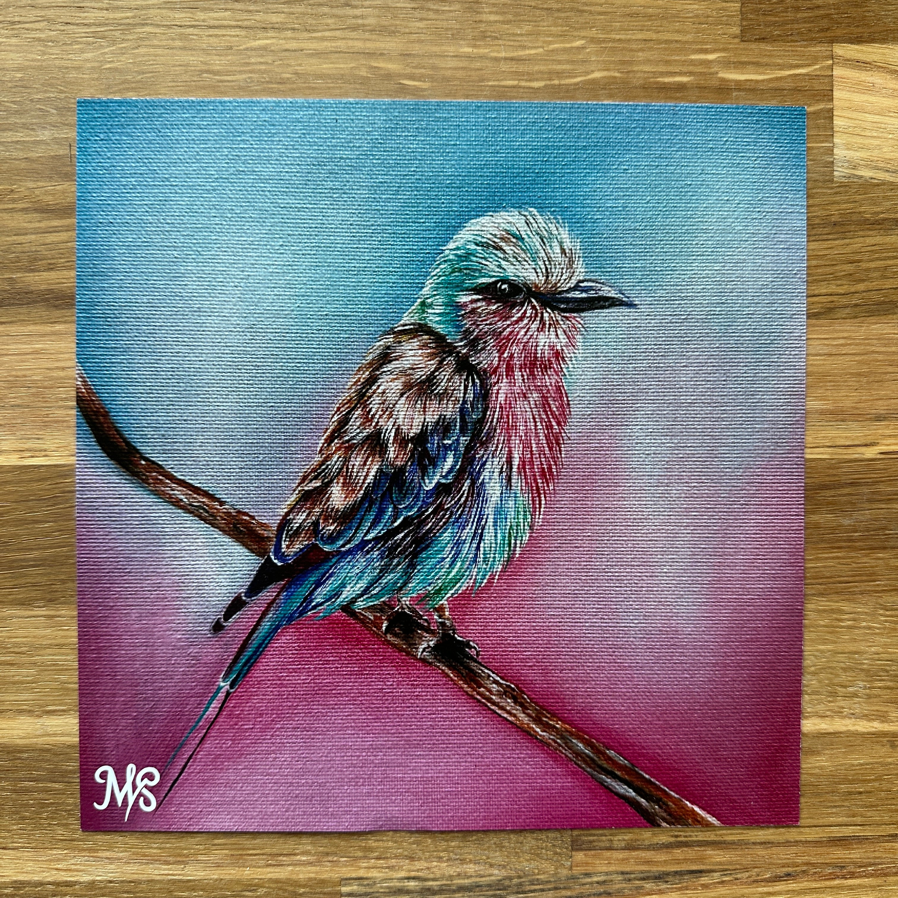 Afrikanisches Vogeltrio