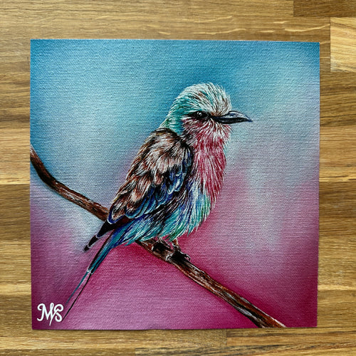 Afrikanisches Vogeltrio