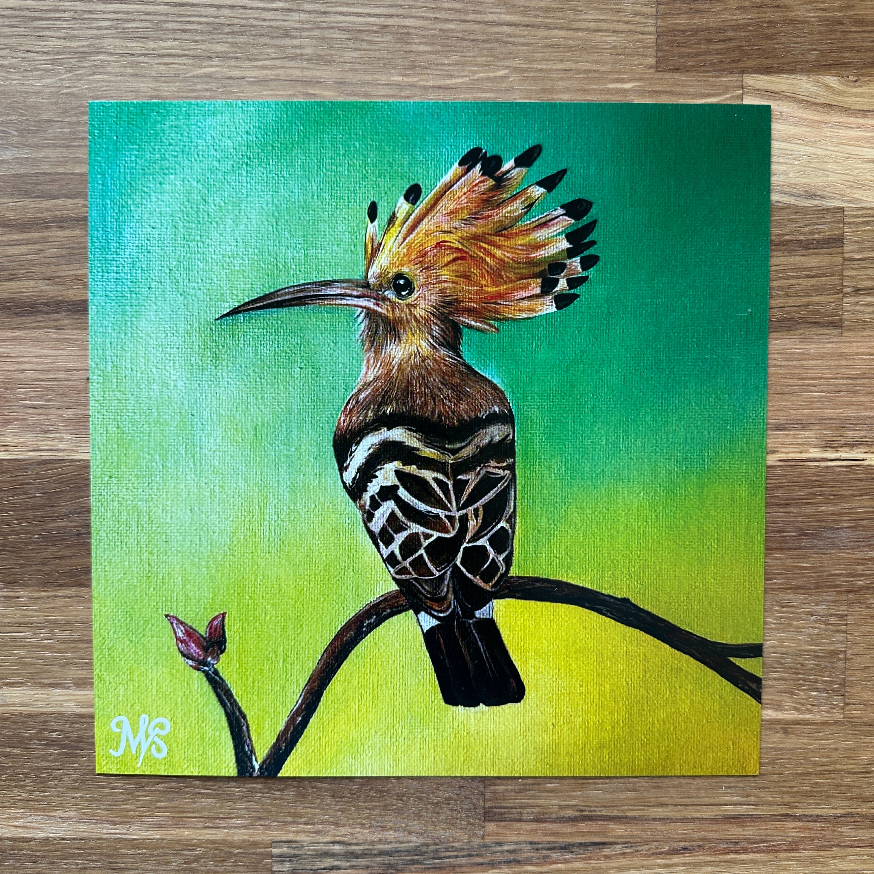 Afrikanisches Vogeltrio