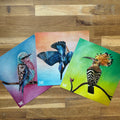 Afrikanisches Vogeltrio