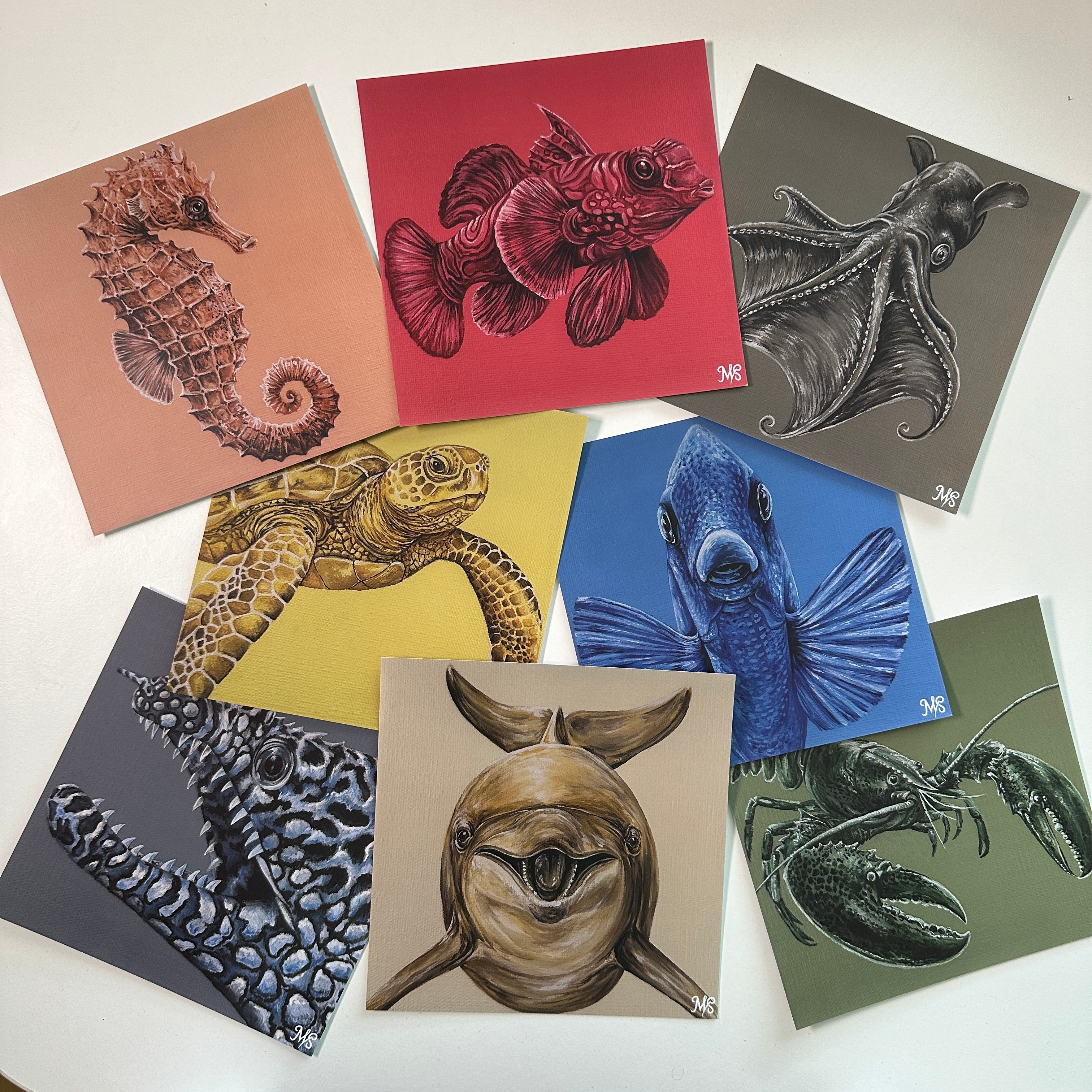 Meeres-Edition 02