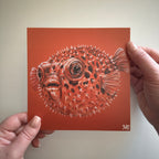 Meeres-Edition 03