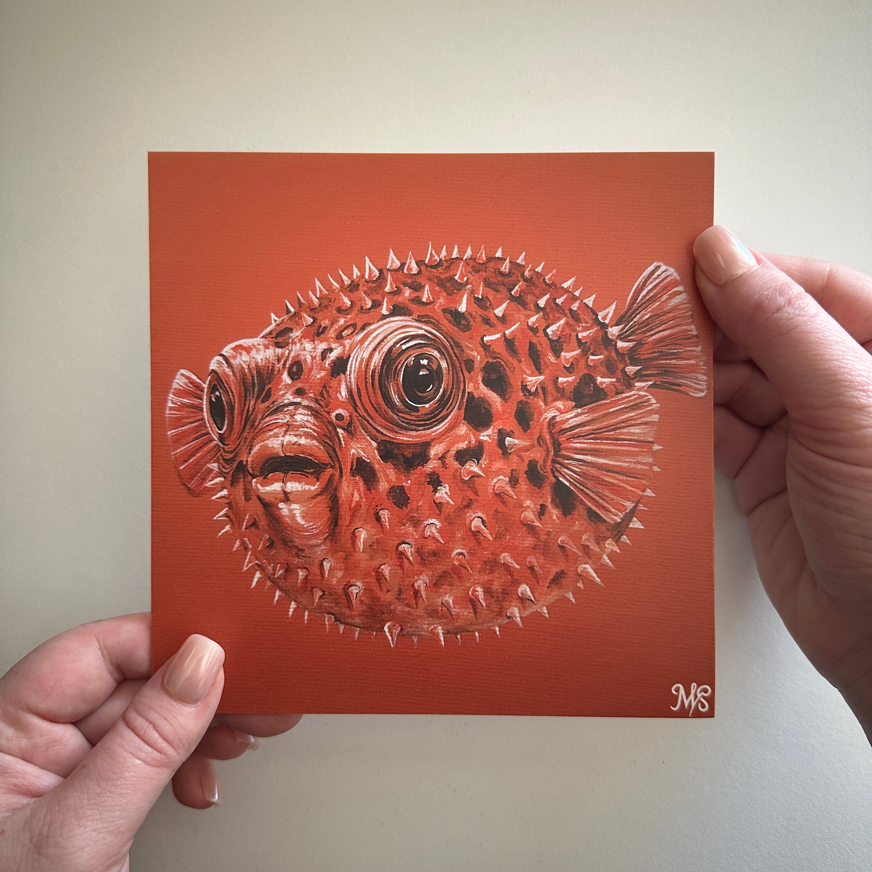 Meeres-Edition 03