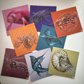 Meeres-Edition 03